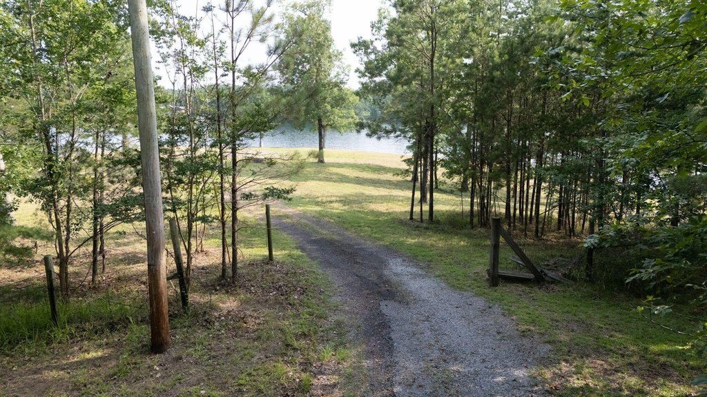 Picture 26