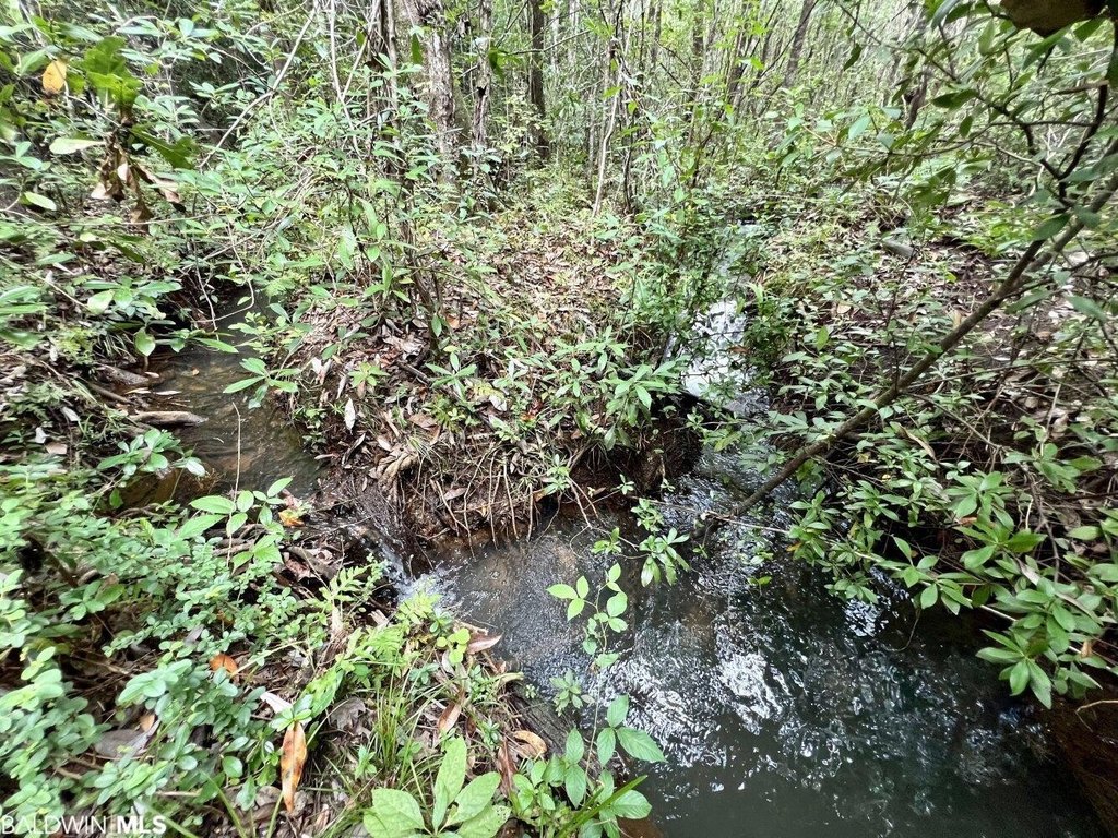 Picture 36