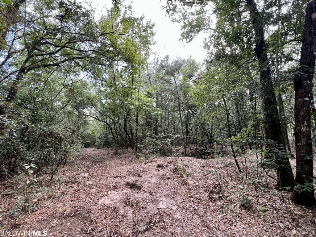 Picture 42