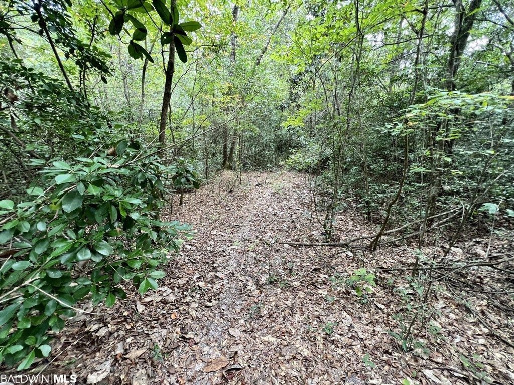Picture 41