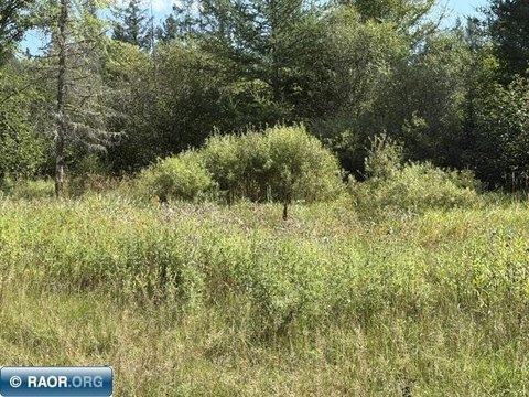 LOTS/LAND, Zim, MN