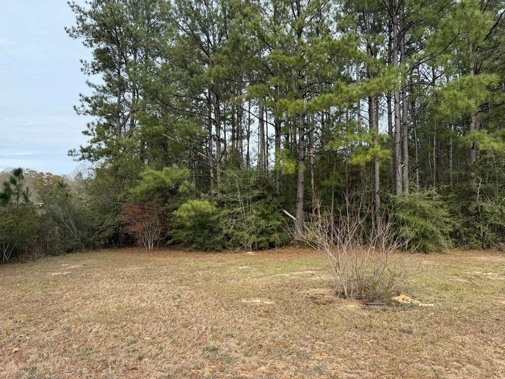 Picture 5
