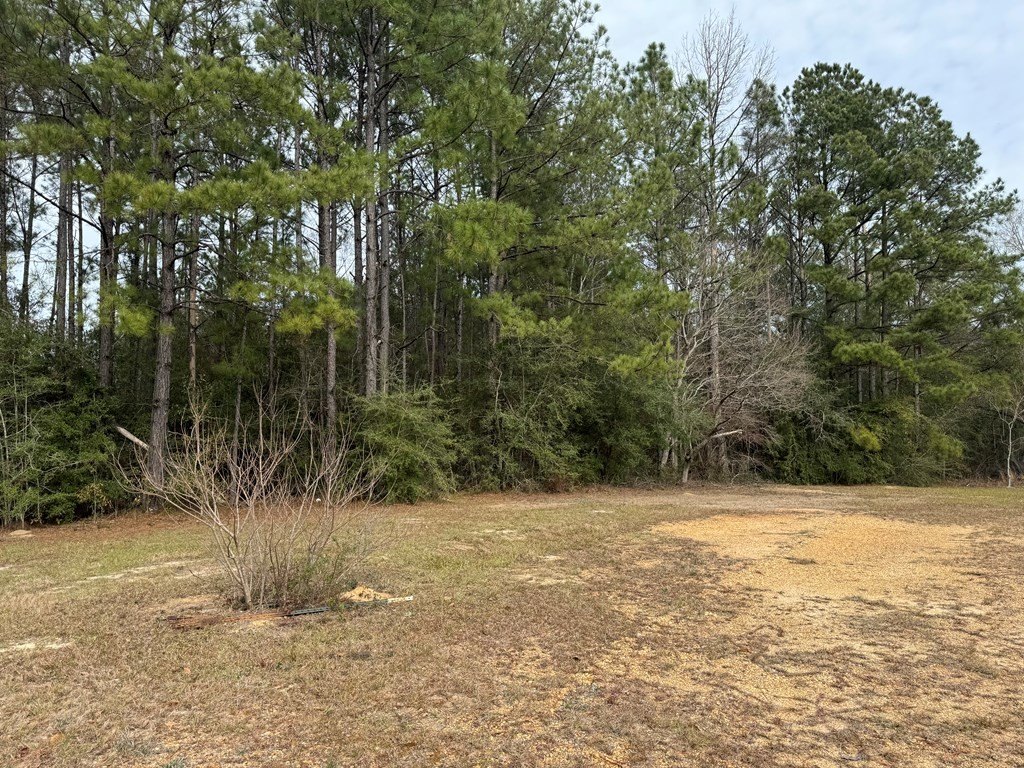 Picture 6