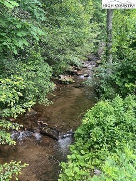 25 Acres of Hunting Land