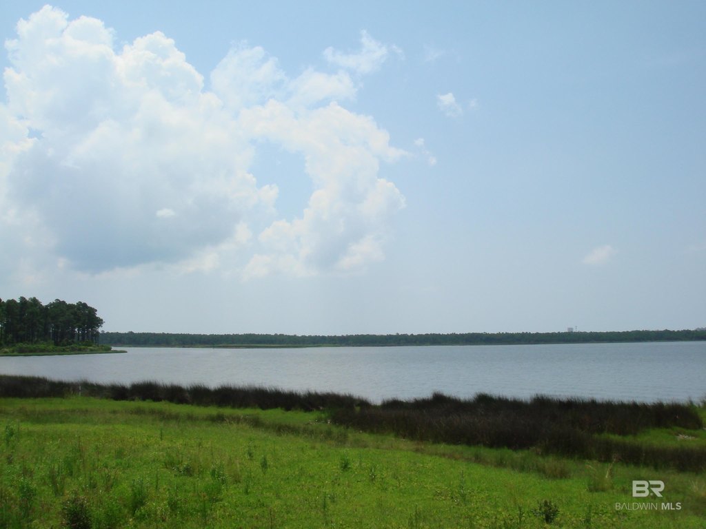 Picture 14
