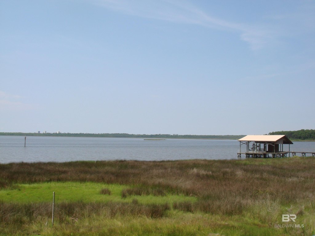 Picture 15