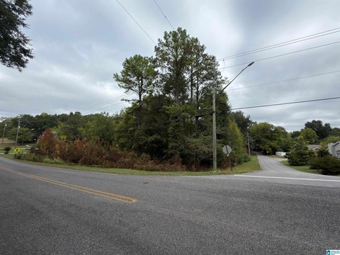 LAND/LOTS, ALABASTER, AL