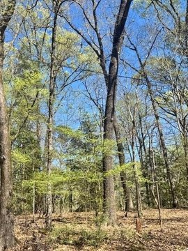 Lake Sam Rayburn Residential Lot