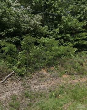 Land, Trussville, AL