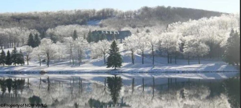 Picture 4