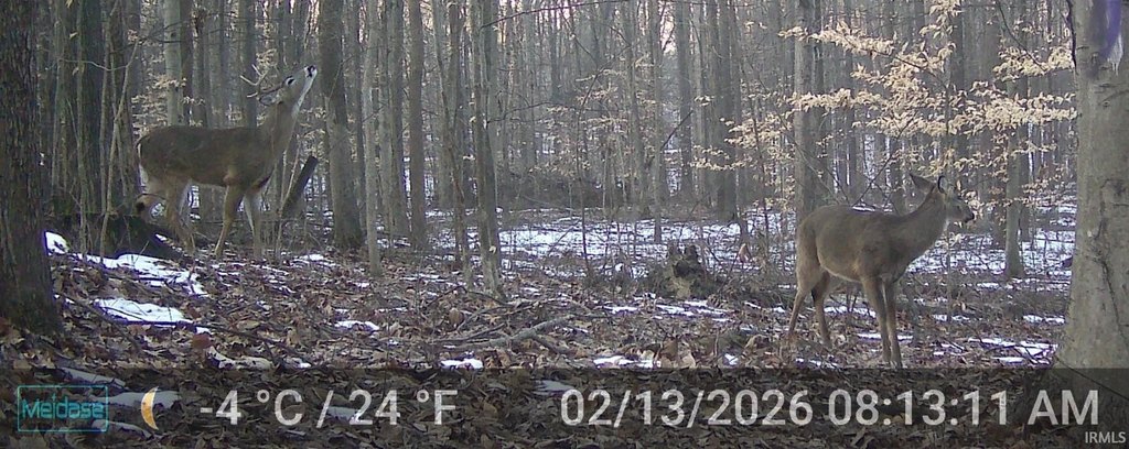 Picture 14
