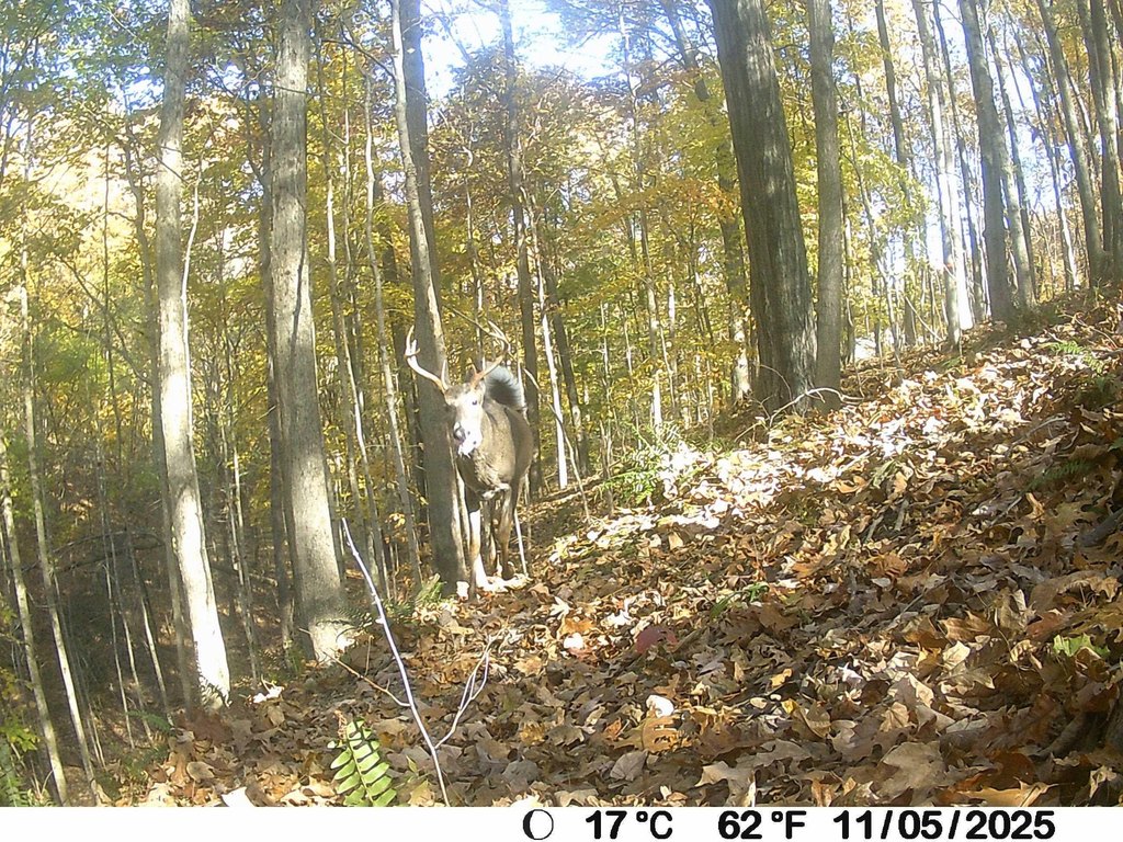 Picture 29