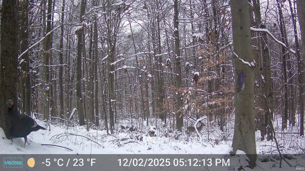 Picture 8