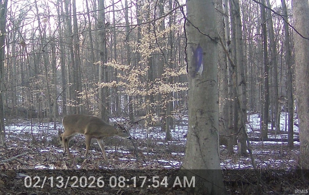 Picture 15