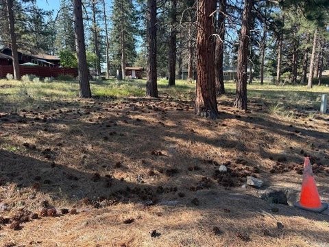 Land in Weed, California