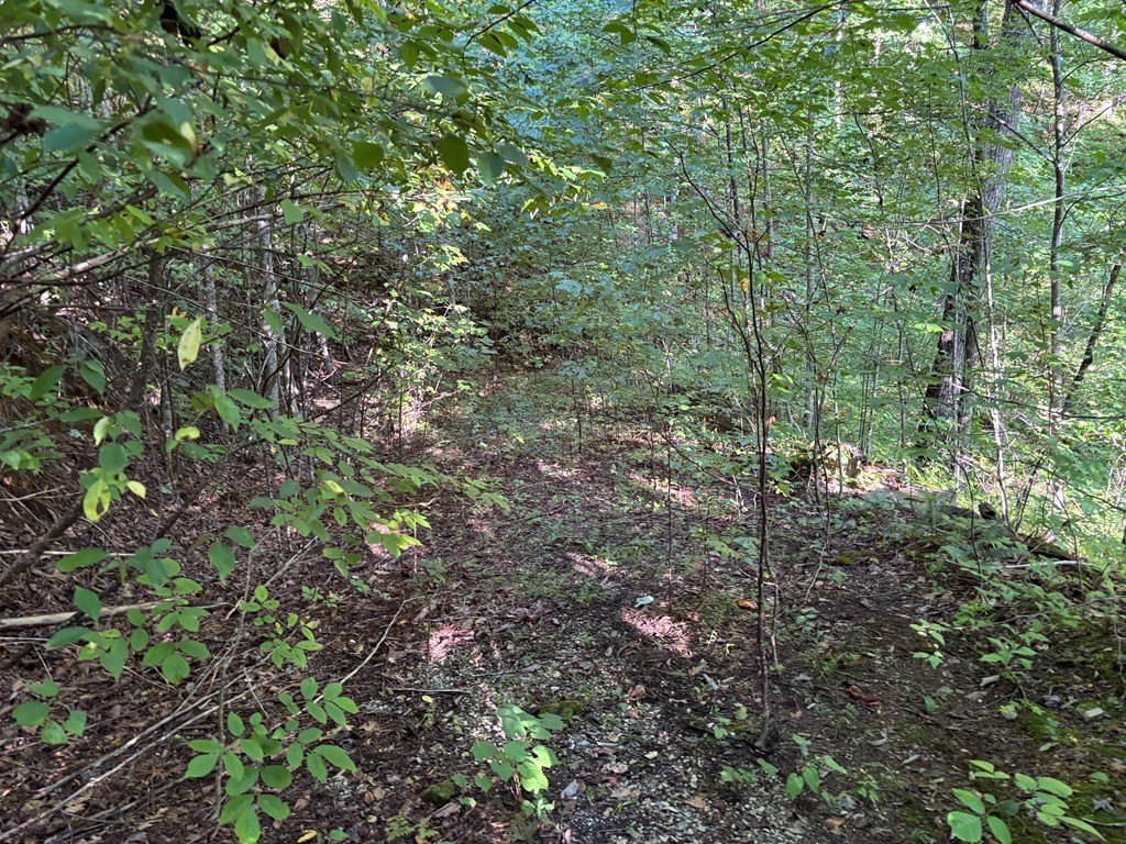 Picture 23