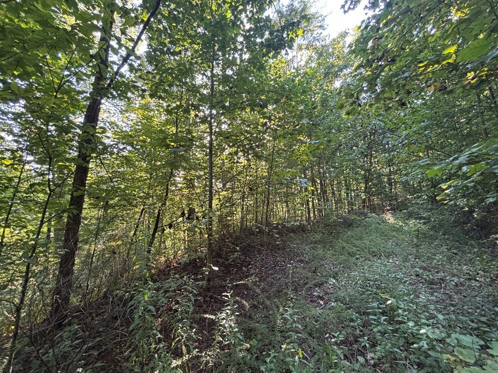 Picture 22