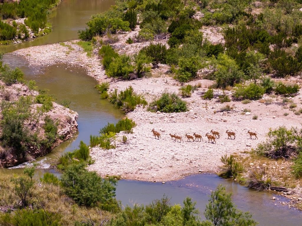 851-Acre Ranch with Pecos River Frontage