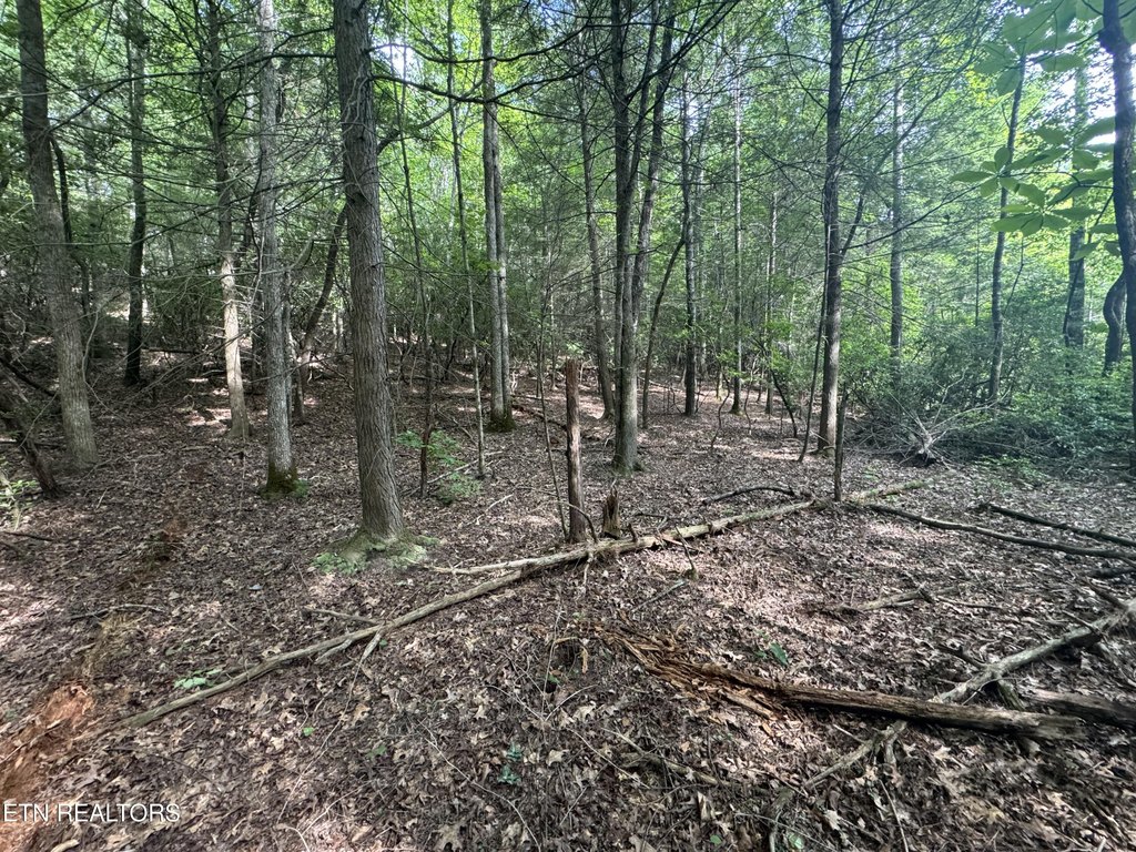 Picture 24