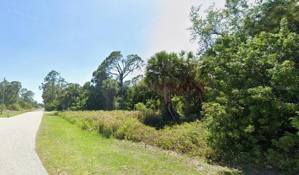 Picture 3