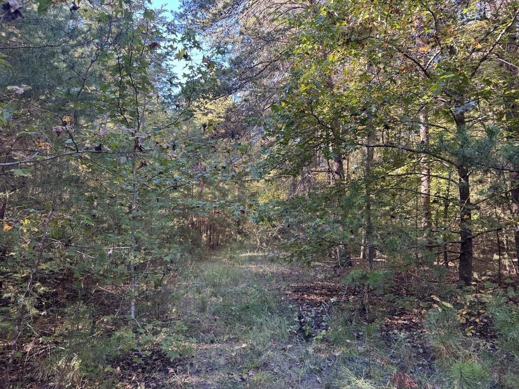 Picture 13