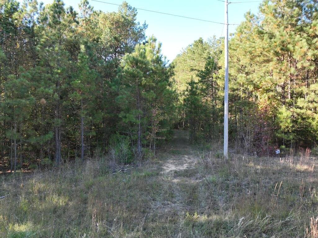 Picture 9
