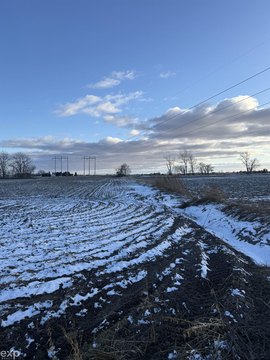 Productive Farmland Tract