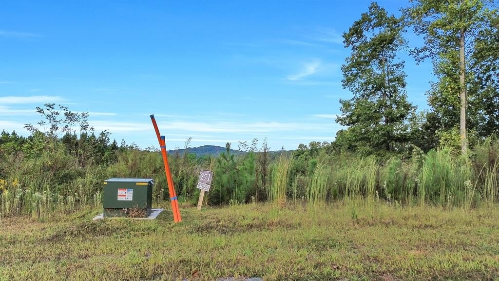 Buildable Lot in Gated Community