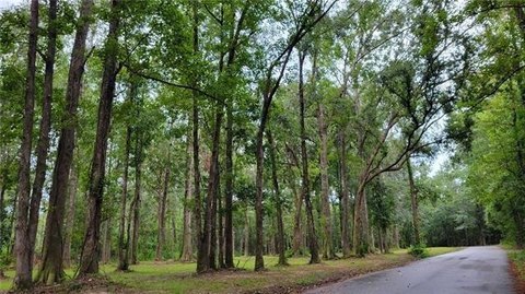 Land, Pearl River, LA