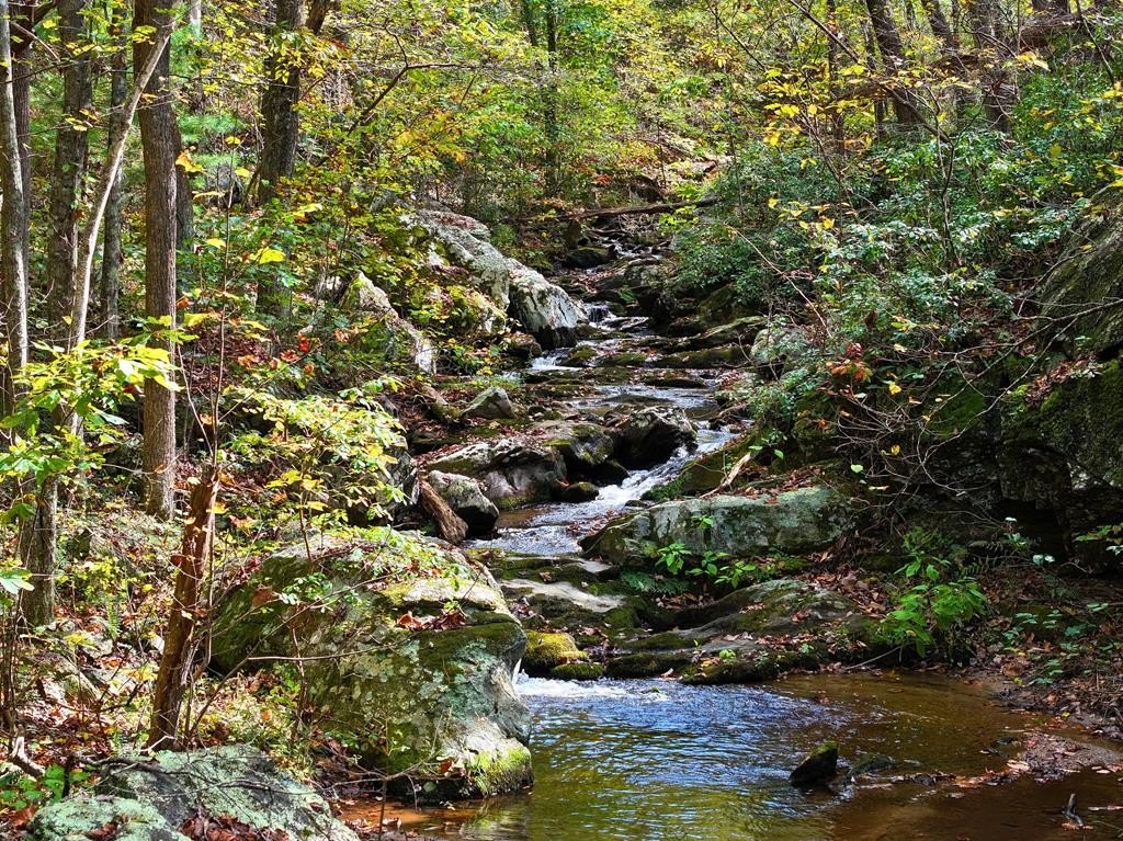 Unrestricted Land Tract in Penhook