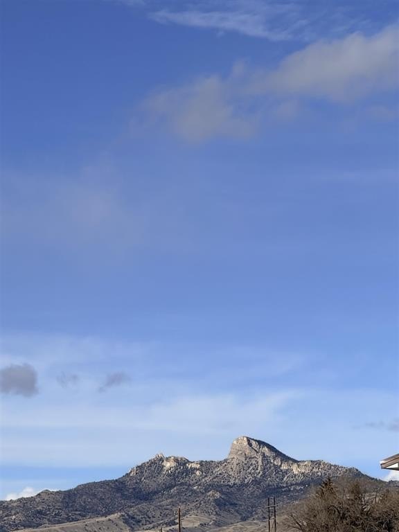 Picture 15
