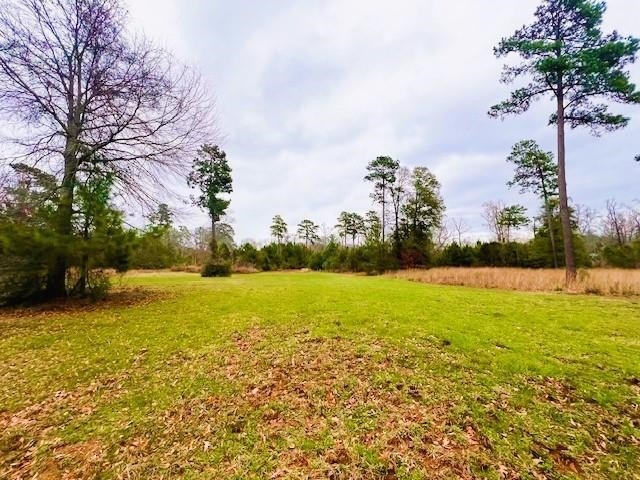 Waterfront Lot in Hemphill, TX