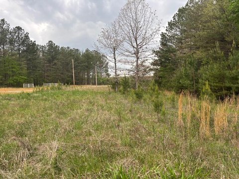 Land in Cumberland Plateau Heart