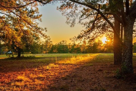 Land, Beech Island, SC