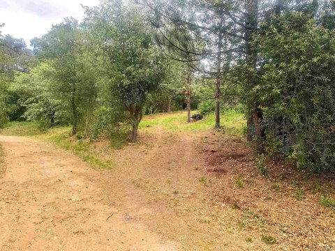 Land in Cuyamaca Woods