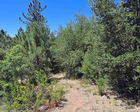 Land in Cuyamaca Woods