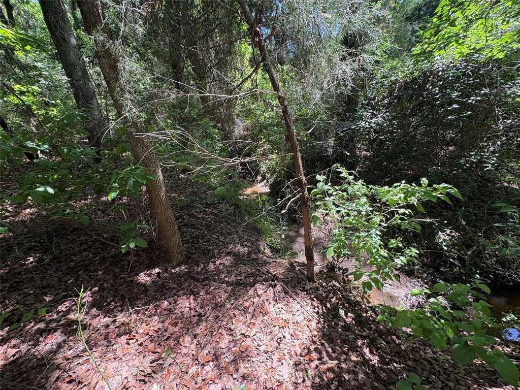 Picture 8