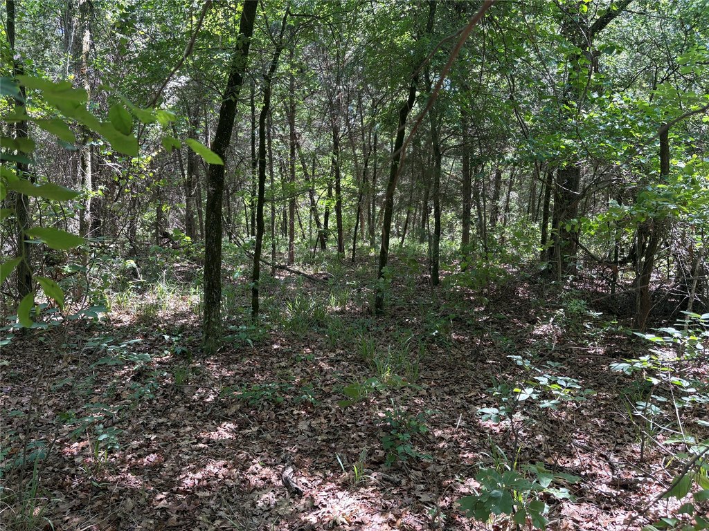 Picture 14