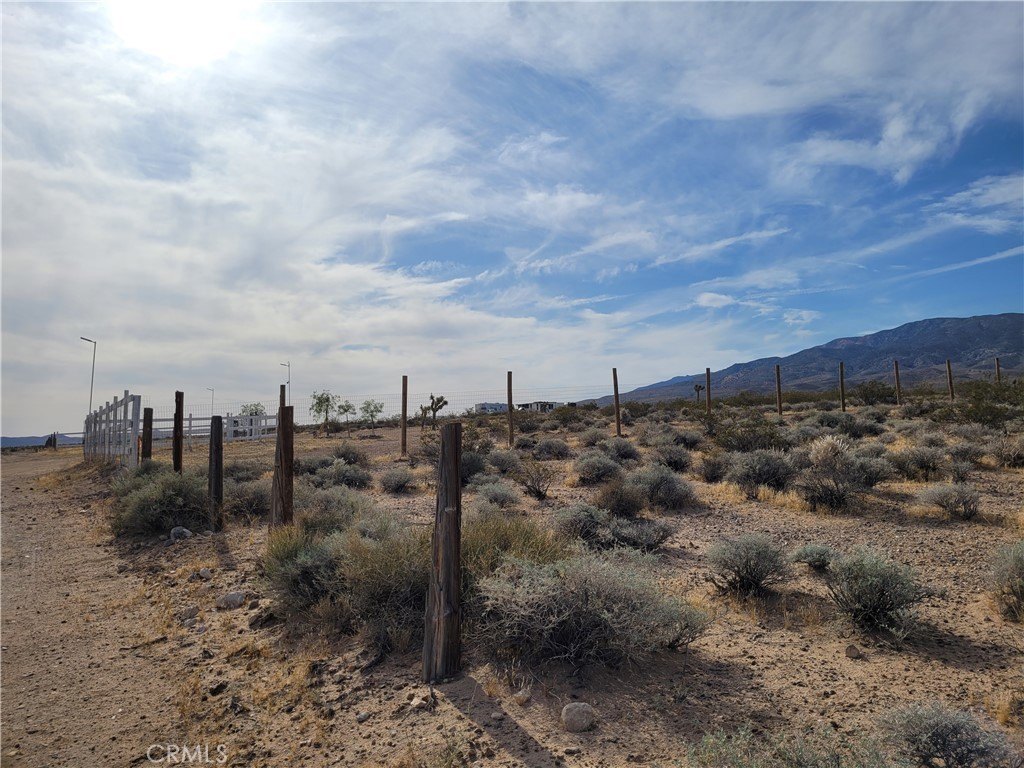 Picture 6