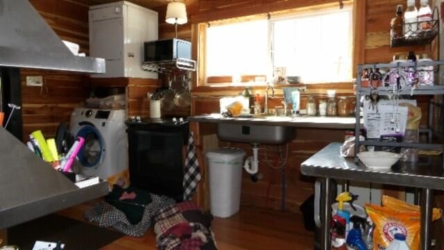 Picture 14