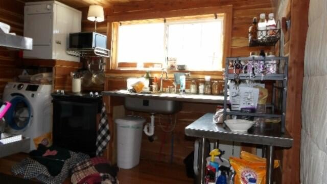 Picture 15