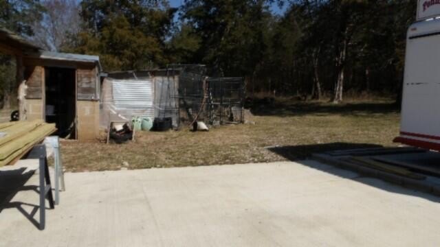 Picture 8