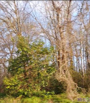 Residential Land Lot in Subdivision