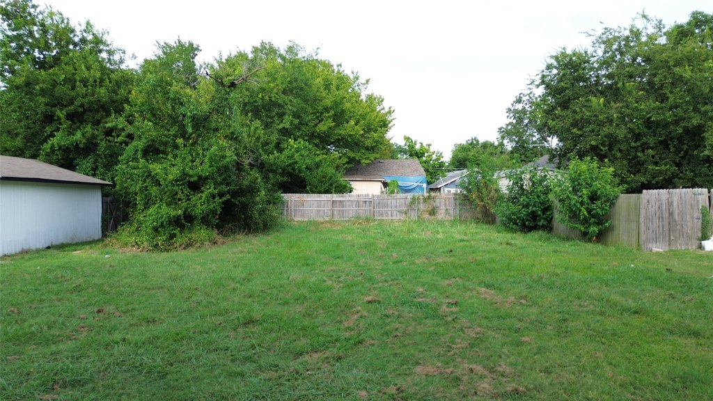 Picture 6