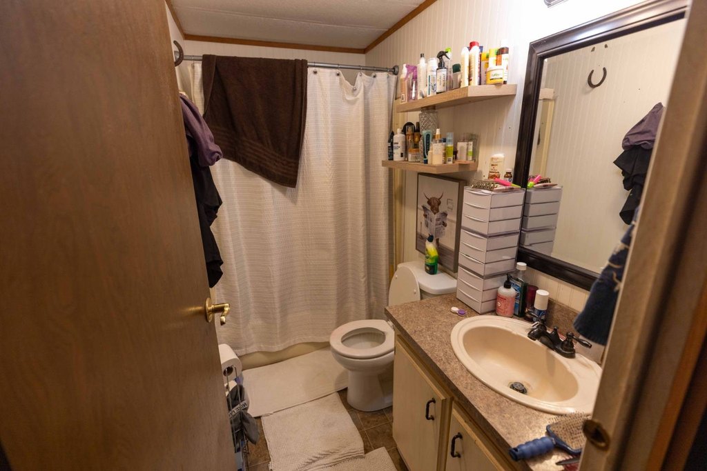 Picture 38