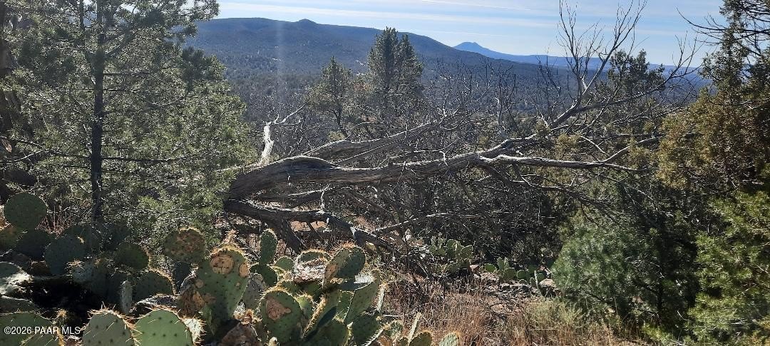 Land with Hiking and Views