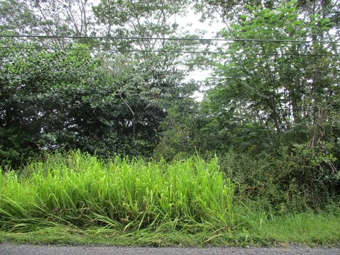 Keaau, HI Land Parcel