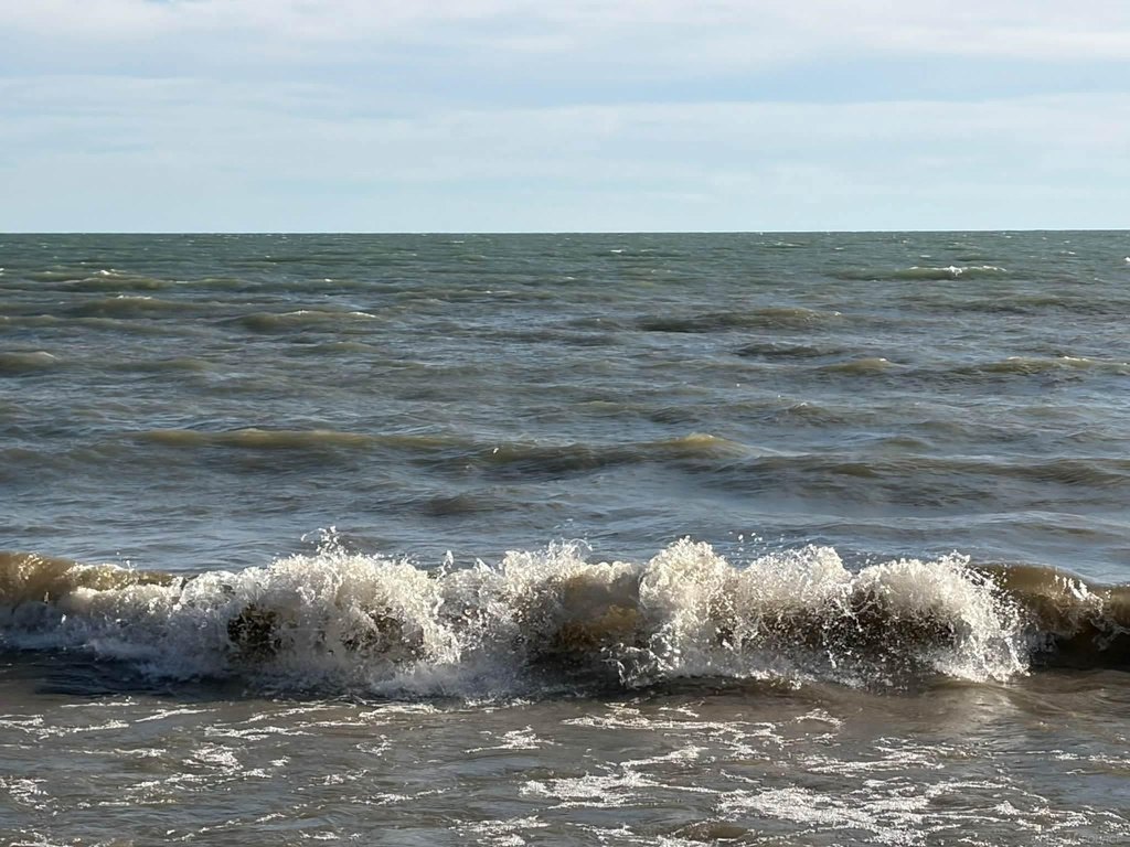 Picture 27