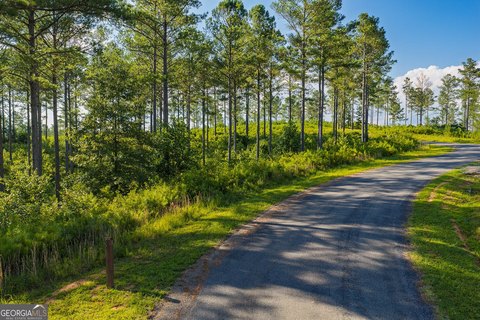 LAND - Ellijay, GA