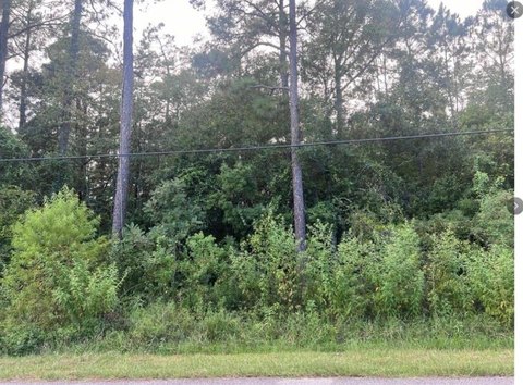 Land, Mobile, AL